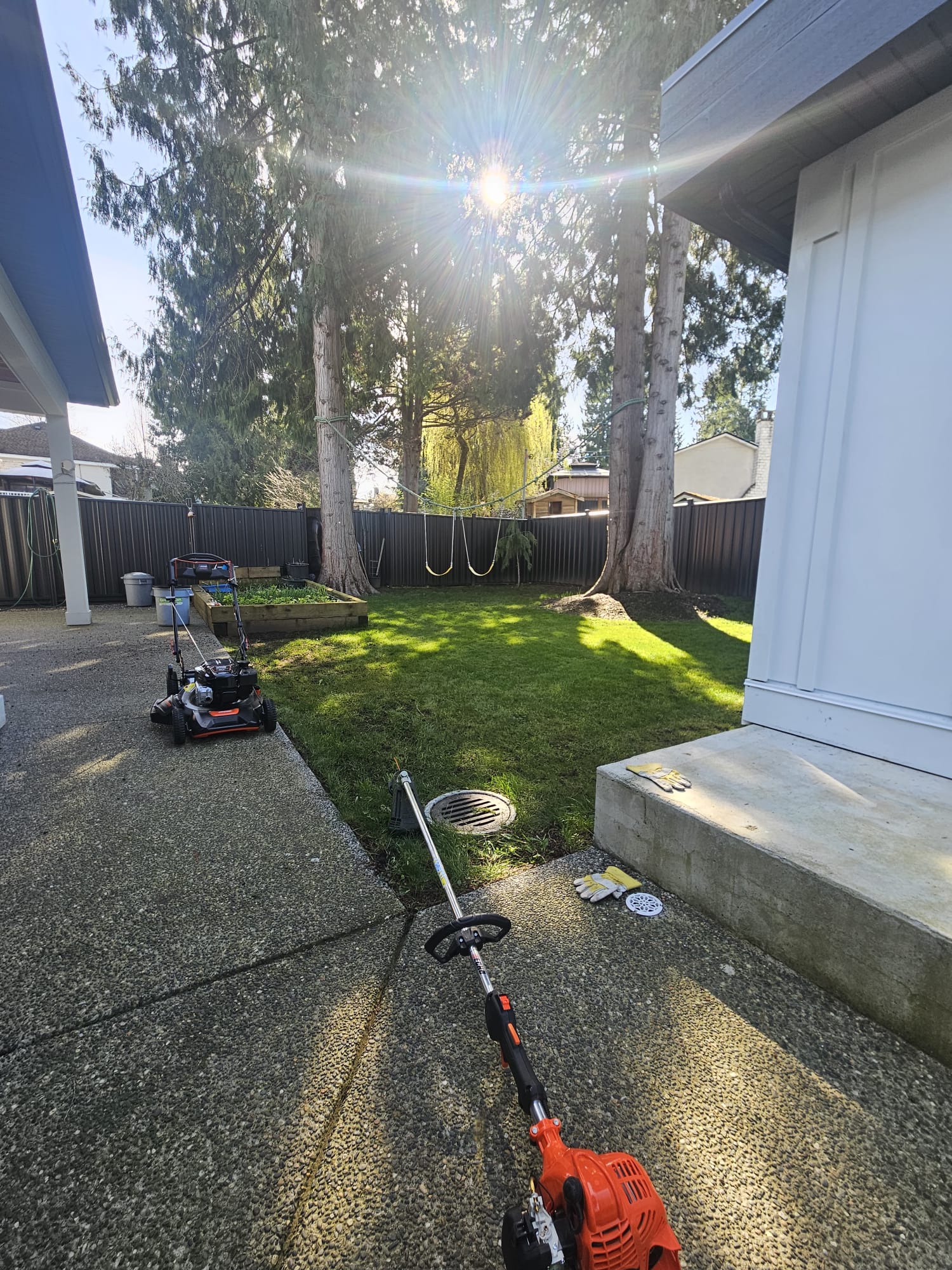 Lawn care in Delta BC